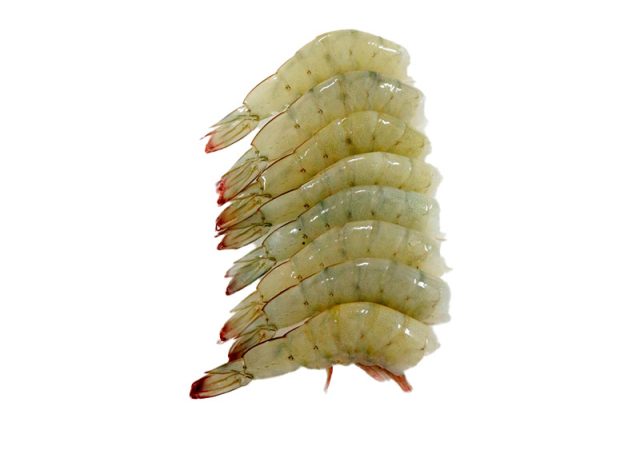 HLSO - SHRIMP